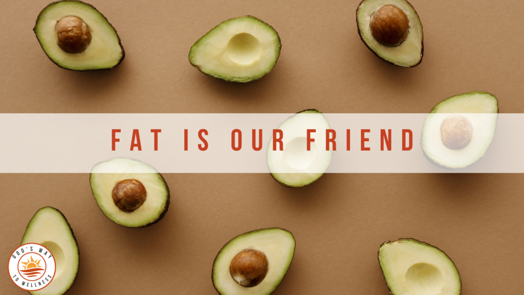 Fat is our friend