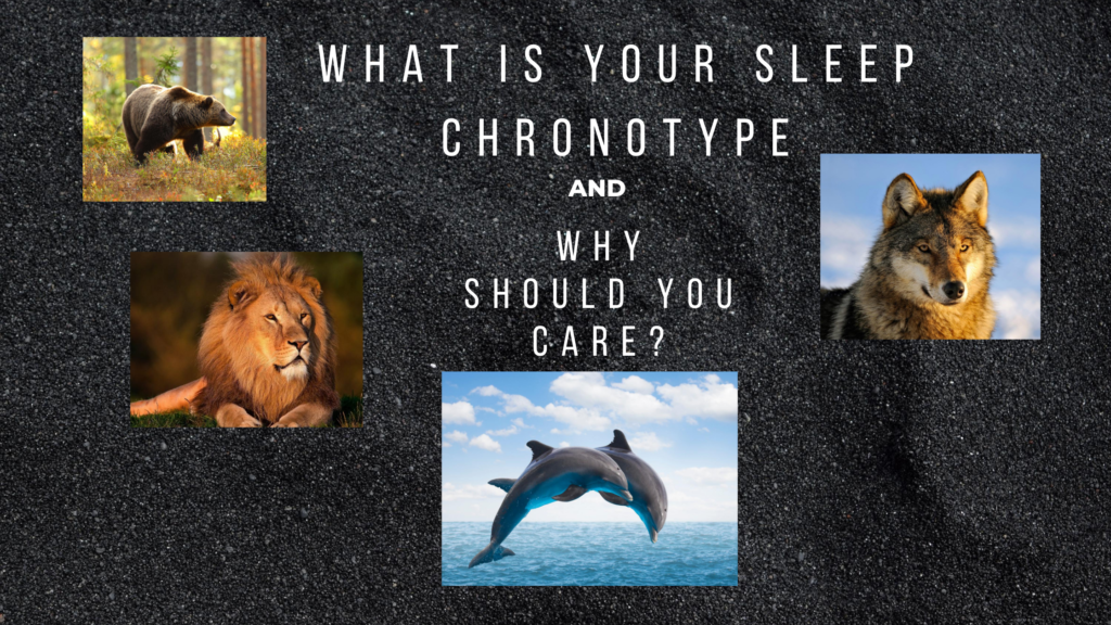 What is Your Sleep Chronotype and Why Should You Care?