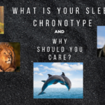 What is Your Sleep Chronotype and Why Should You Care?