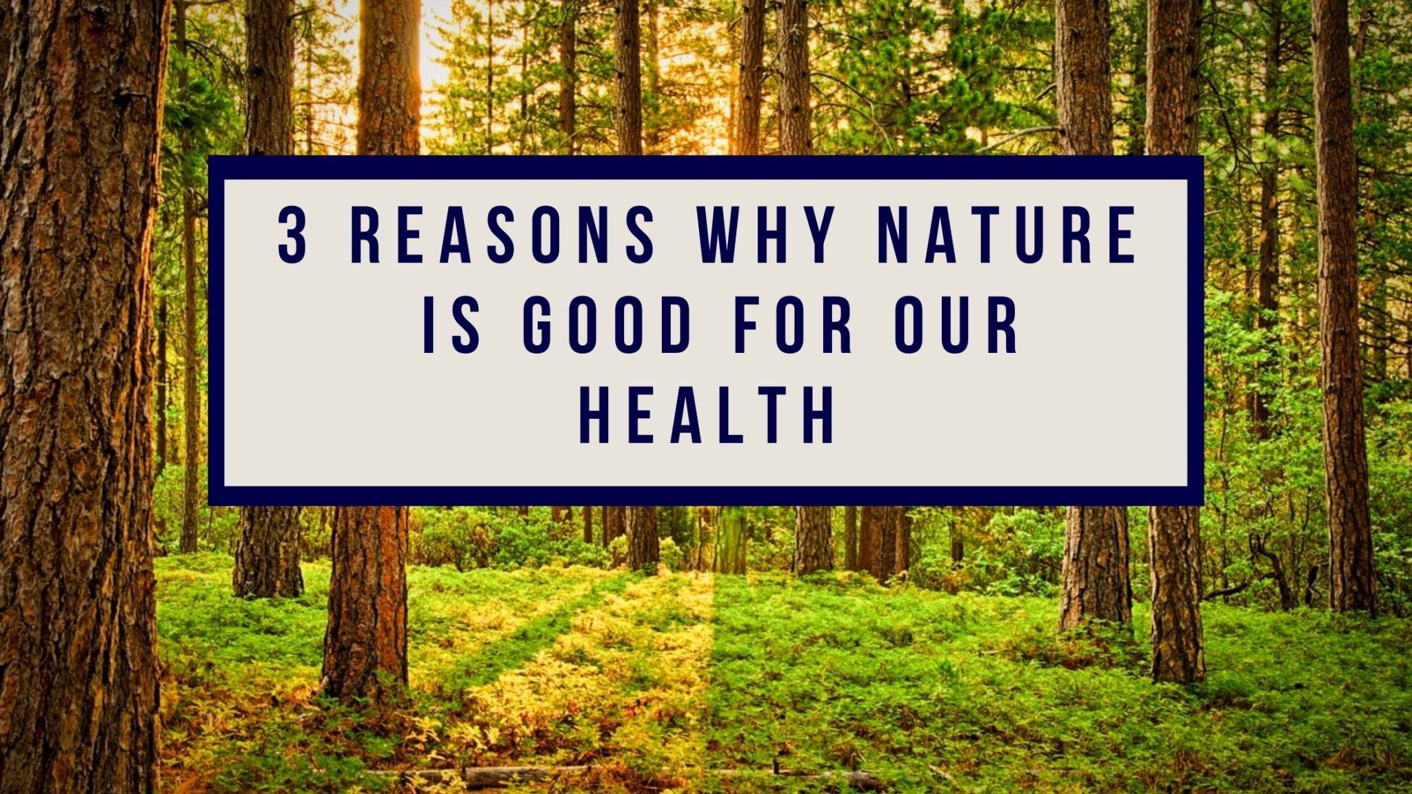 3 Reasons Why Nature Is Good for Our Health - God's Way to Wellness