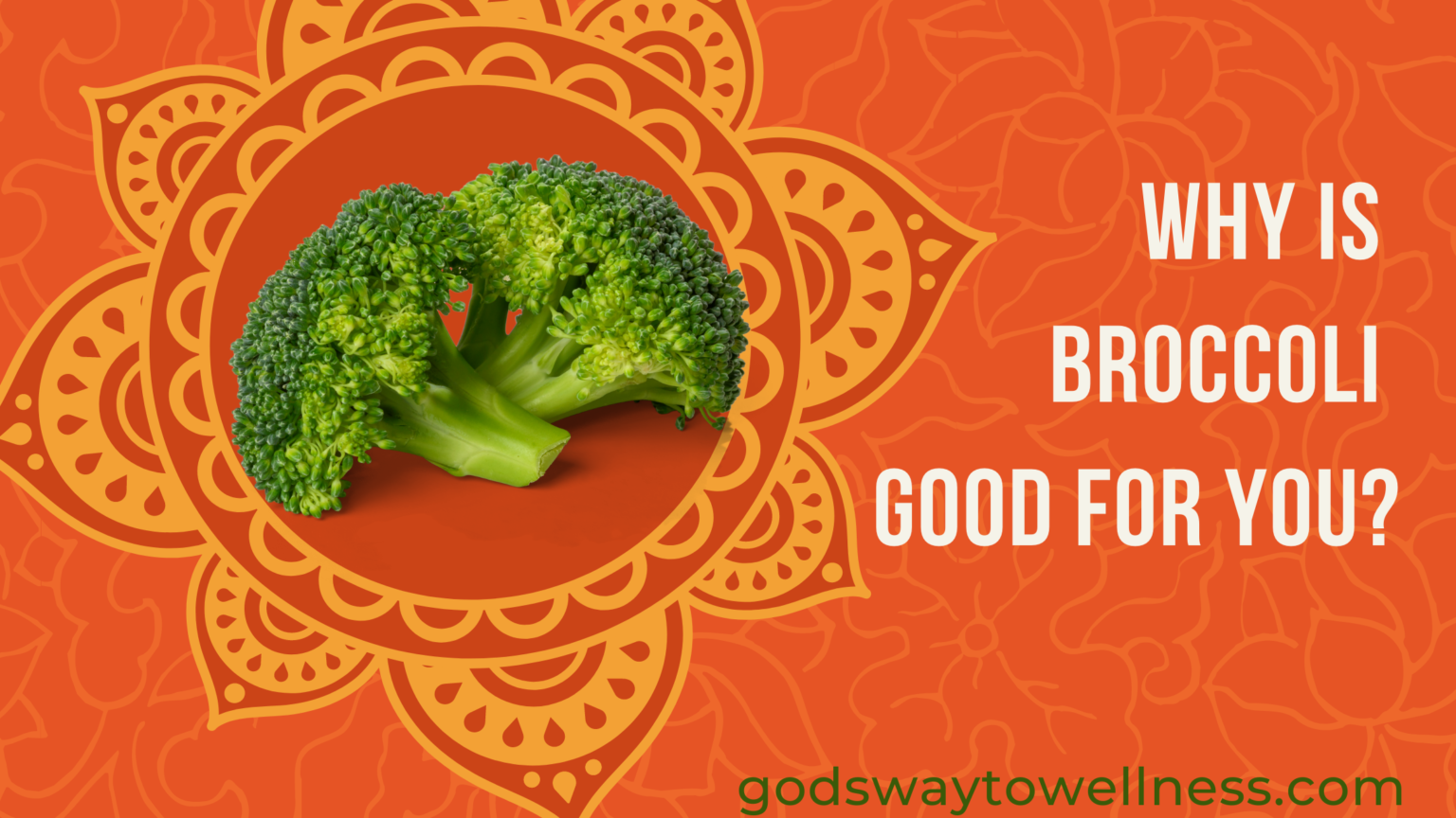 Why Is Broccoli Good For You? God's Way to Wellness