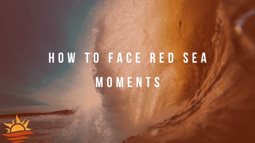 Red Sea Moments