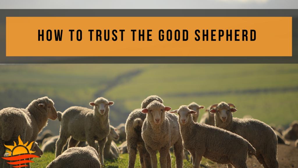 how to trust the good shepherd